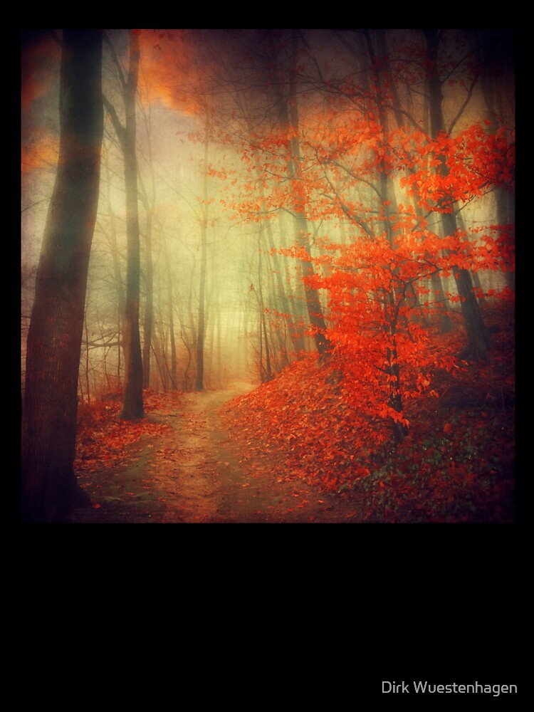 fire walk - forest in autumn colours by Dyrk Wyst Redbubble Shop