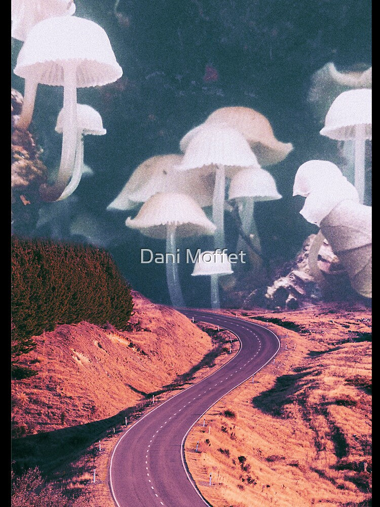 Mushroom Road trip by Dani Moffet