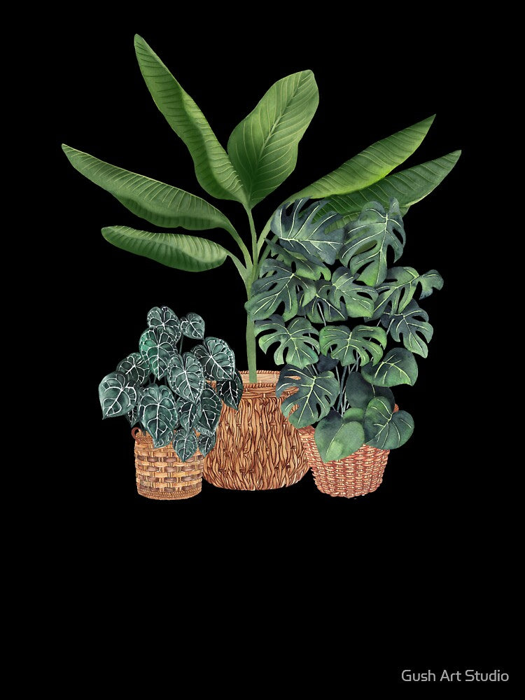 House Plants Illustration 11 by Ana Moguš