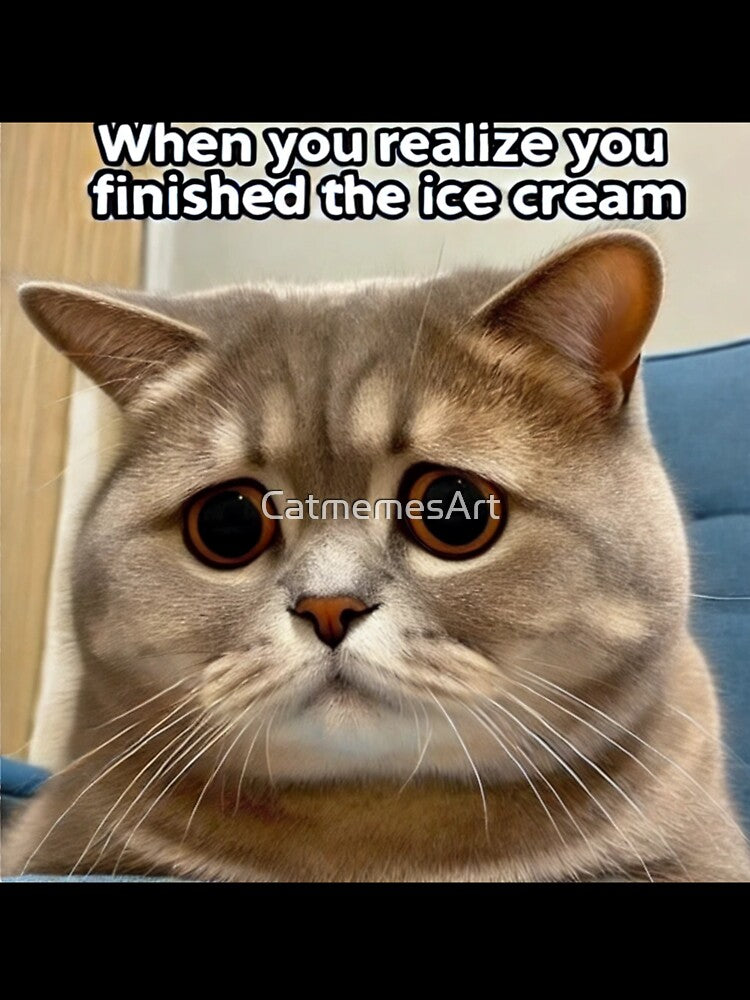 When You Realize You Finished the Ice Cream - Funny Pathetic Cat Meme by CatmemesArt