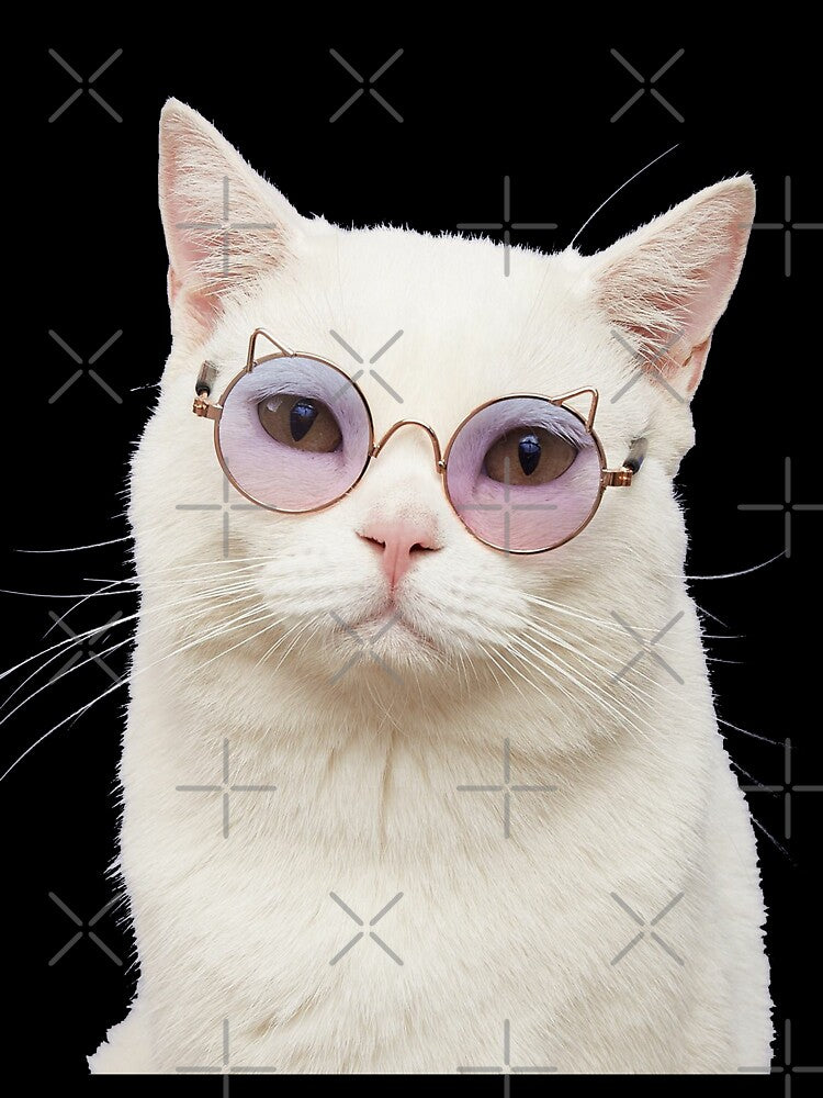 Cat Shaped Pet Glasses by Brendaallen  Art