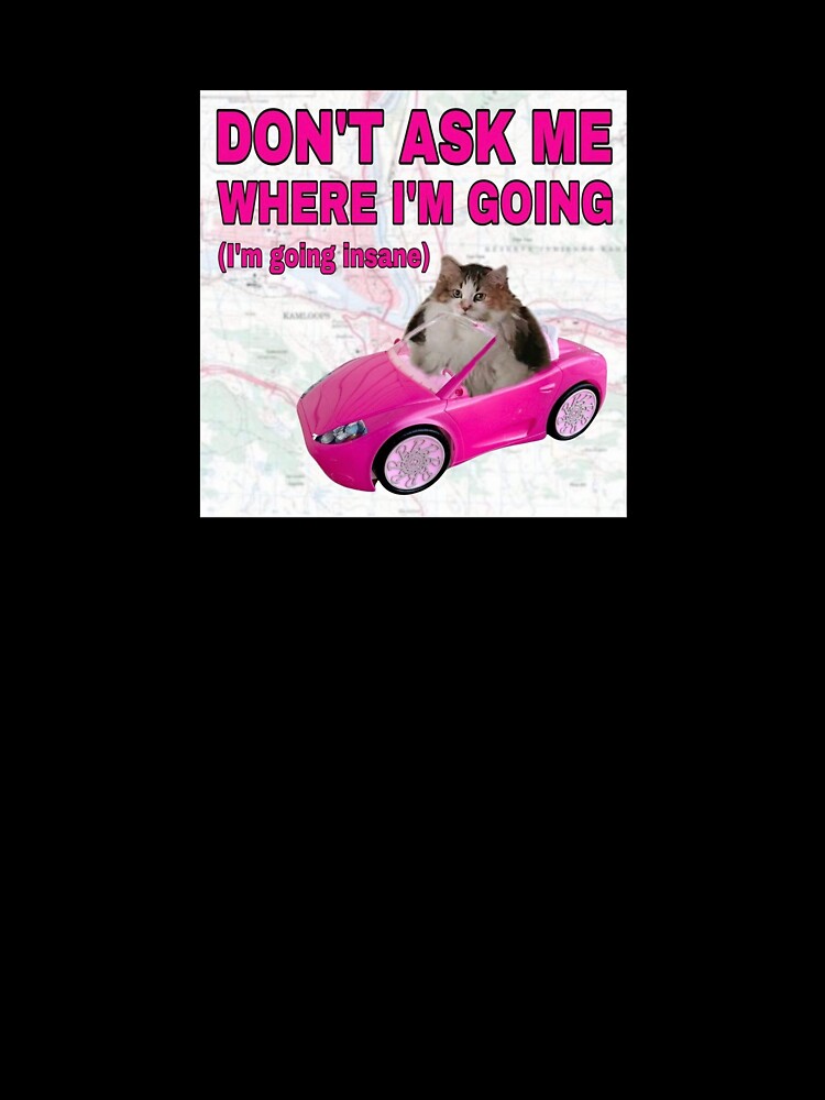 dont ask me where im going (im going insane) by luckygloss