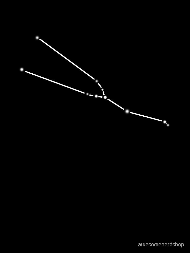 Taurus Constellation by awesomenerdshop