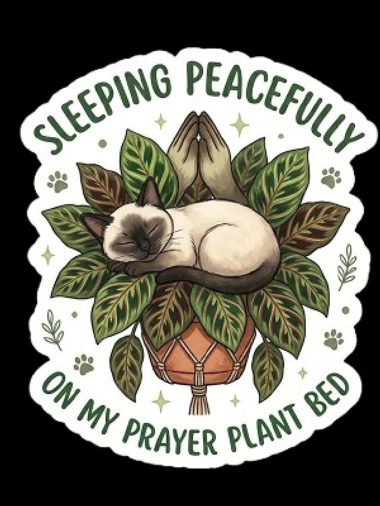 Sleeping Cat on Prayer Plant Bed - Cute Calathea Botanical Sticker by Barkashow