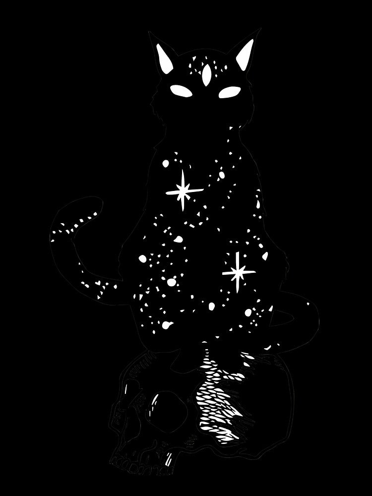 Black Cat Sitting On Human Skull by xaodffufje95
