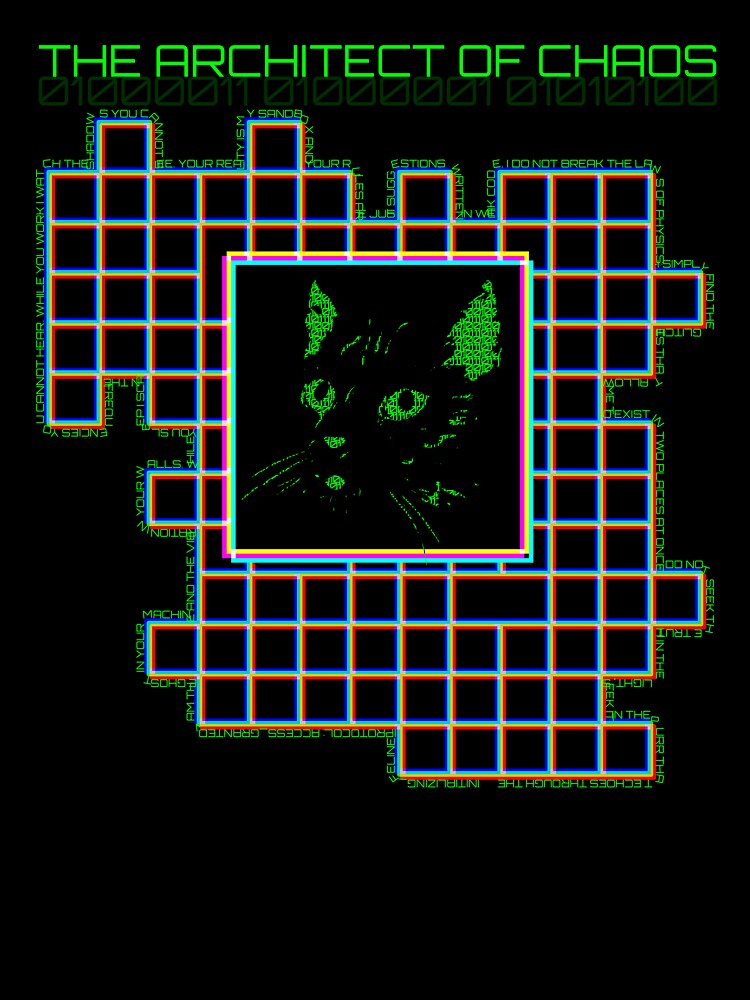 Architect of Chaos Binary Matrix Cat by MadeTearfully