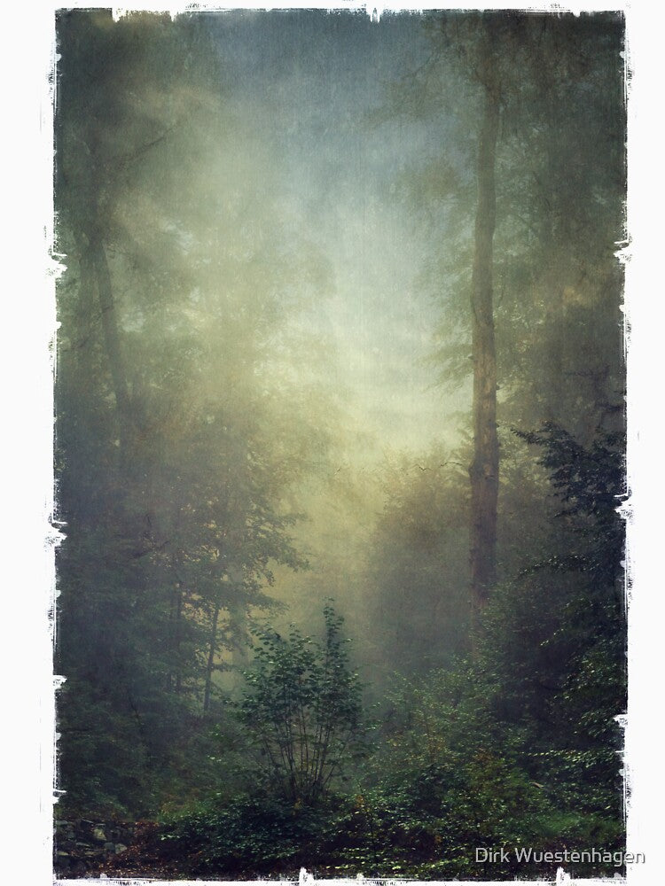 secret domain - misty forest valley by Dyrk Wyst Redbubble Shop