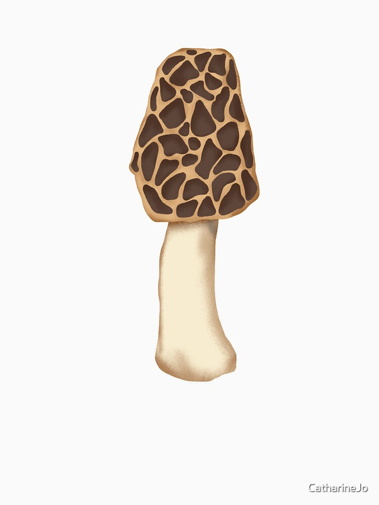 Morel Mushroom by Katie Morris Art
