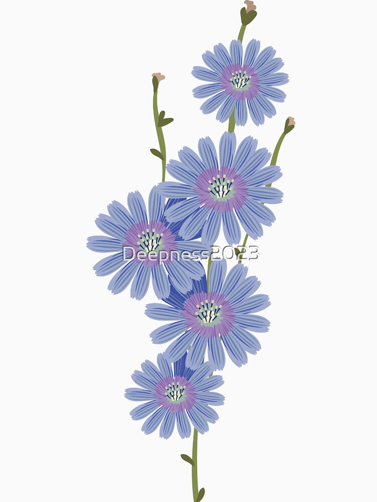 Chicory blue flower by Deepness2023