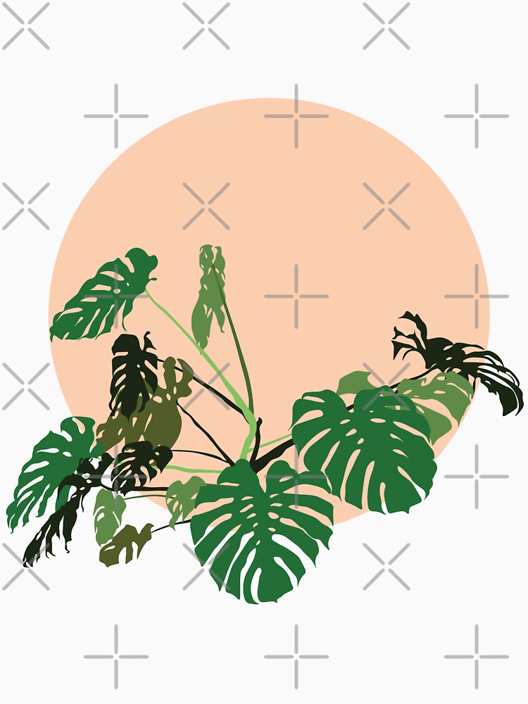 Monstera Deliciosa by Cabeza del Sol