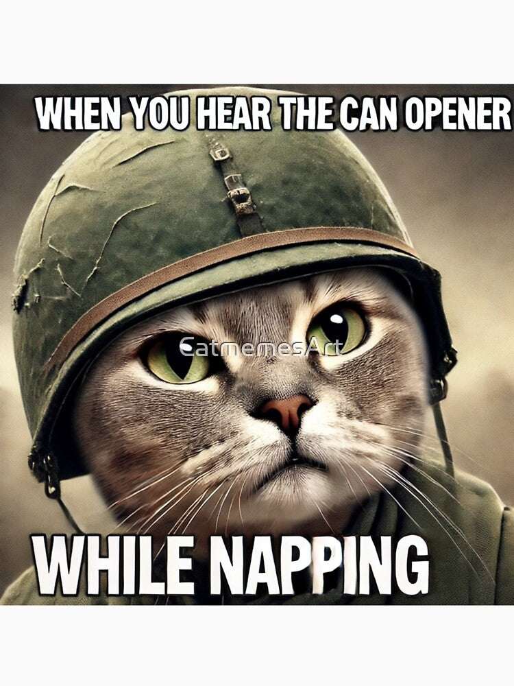 War Cat Meme - When you hear the can opener while napping by CatmemesArt