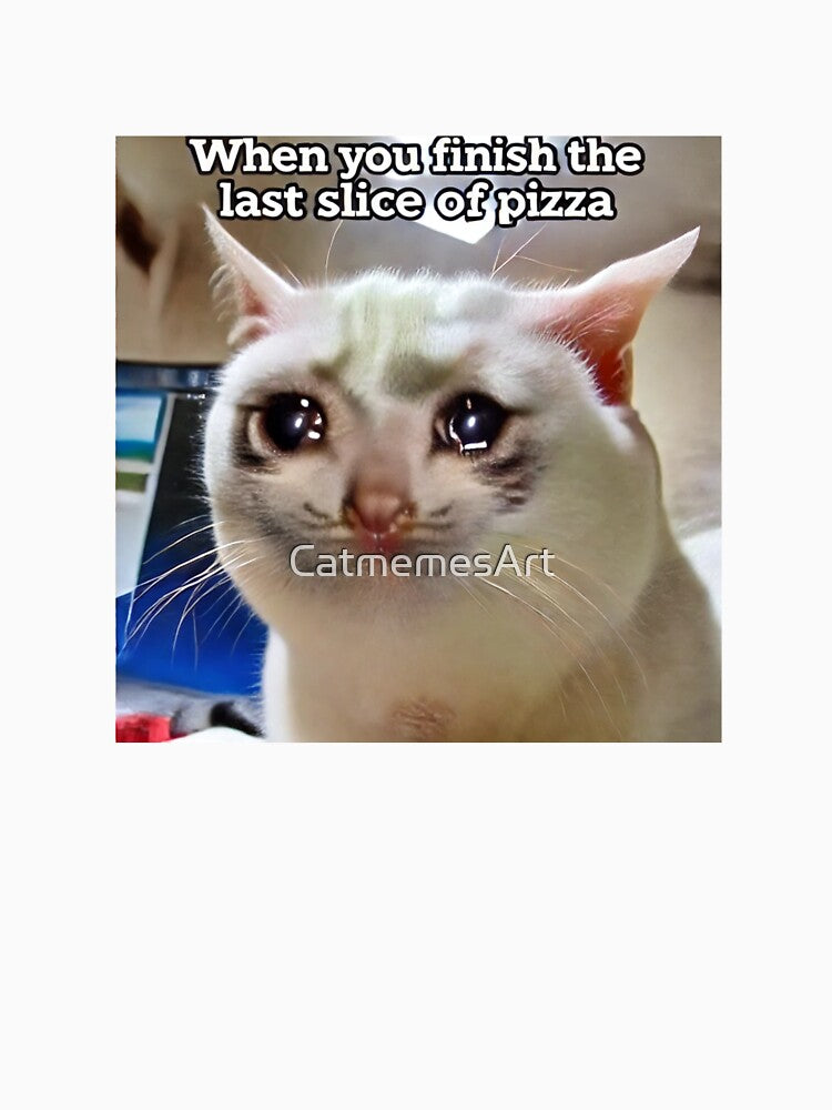 Funny Crying Cat Meme - When You Finish the Last Slice of Pizza by CatmemesArt