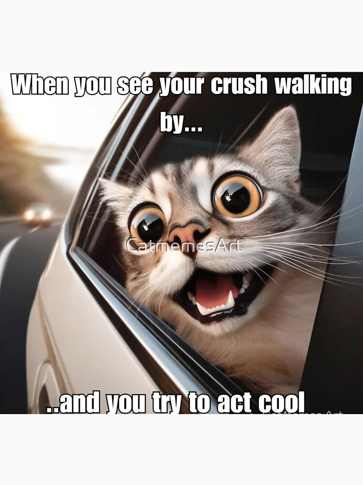 Funny Screaming Cat Meme - When You See Your Crush Walking By by CatmemesArt