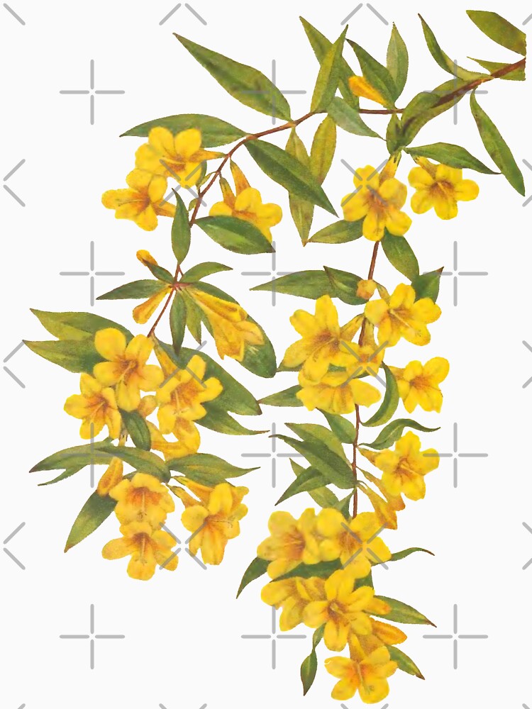 Yellow Wildflowers Botanical Print by Veriepear