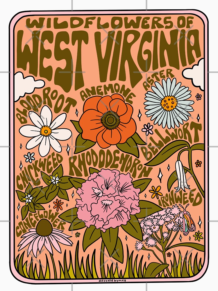 West Virginia Wildflowers by doodlebymeg