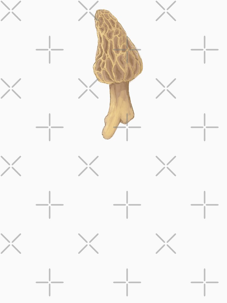 morel mushroom by Beelixir