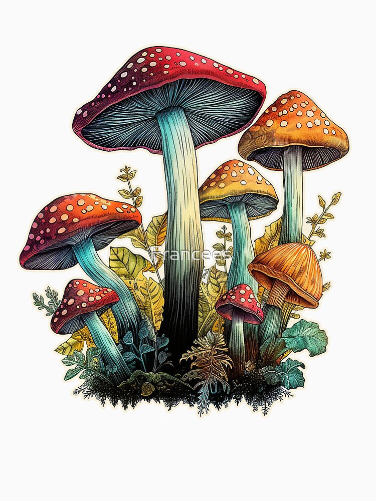 Mushrooms by Fran Fryberg