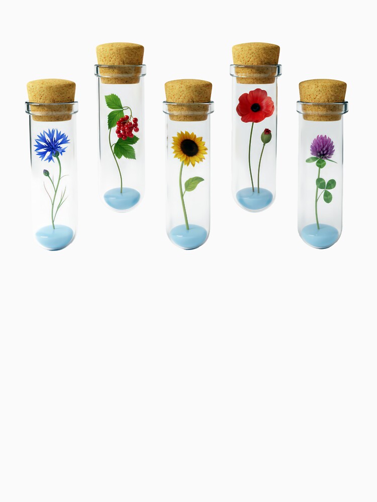 Botanical Specimens Wildflowers Test Tube Collection by Pani-Malyuvalka
