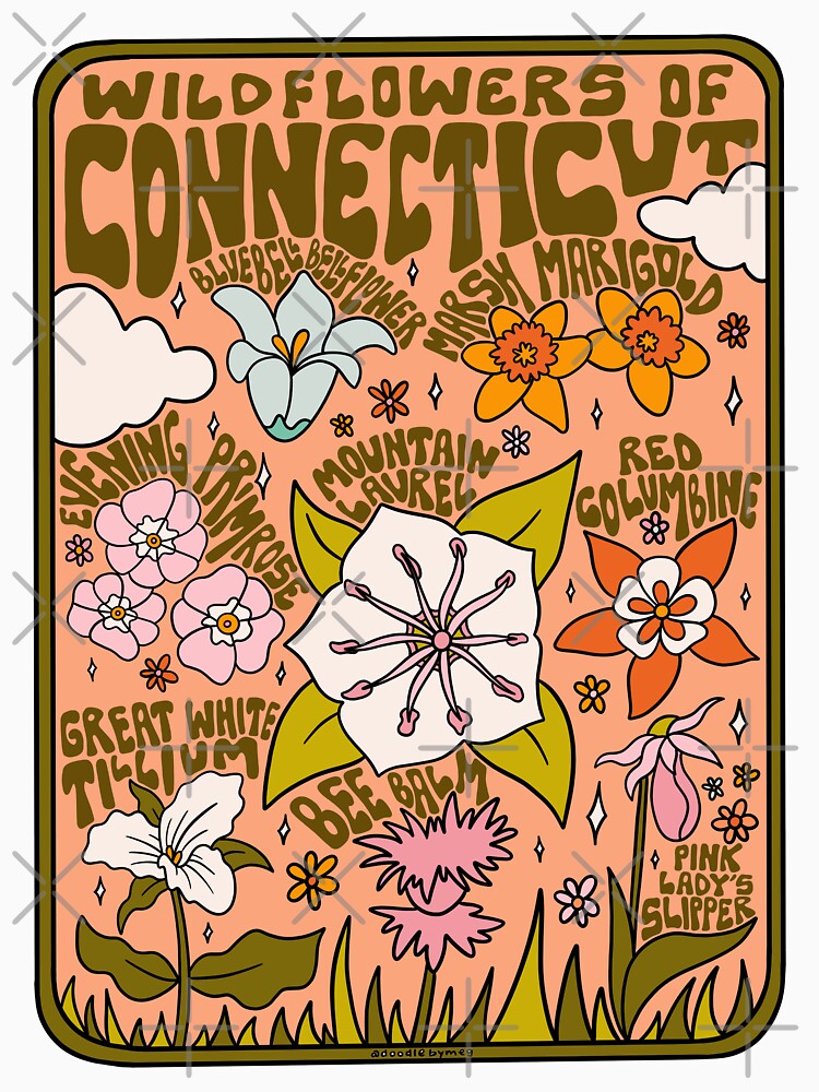 Connecticut Wildflowers by doodlebymeg