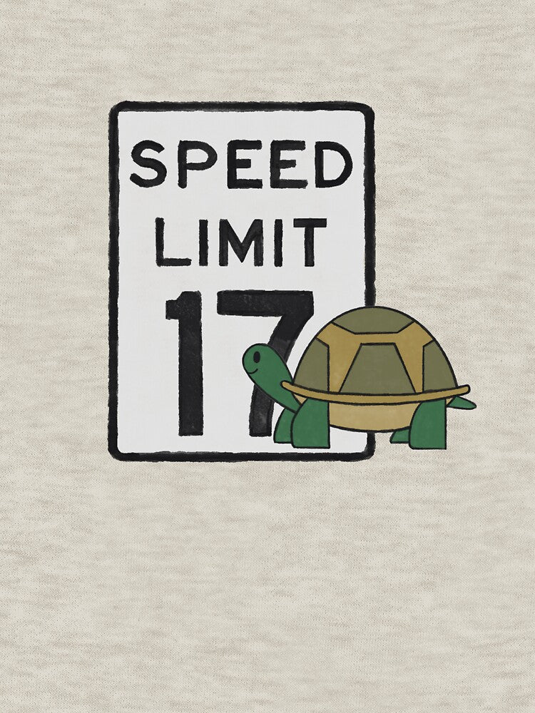 Hampshire College 17 MPH Speed Limit by catchicaco