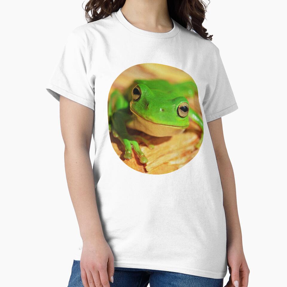 Colorful Modern Green Frog Photo Portrait by MakiMak