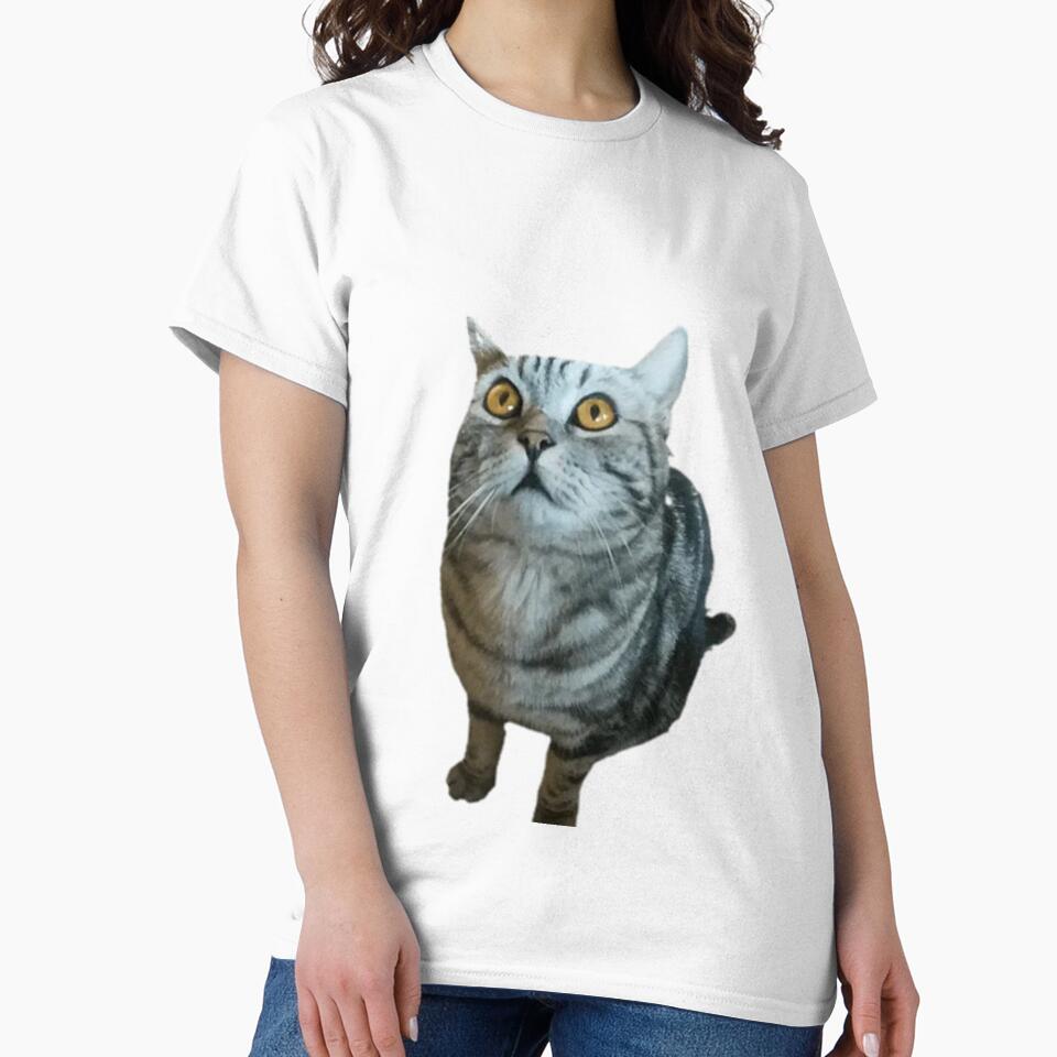 Funny cat by funny   artist