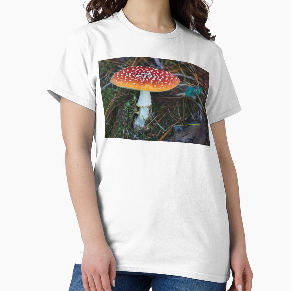 Amanita Muscaria Mushroom in Mossy Pine Forest by Maddy the Maker