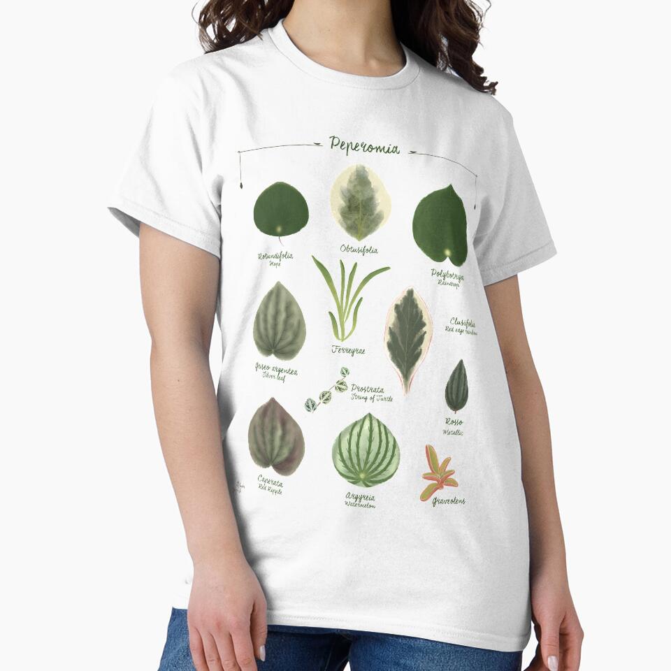 Peperomia plants species collection botanical illustration by Onyria Art