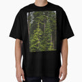Magical Evergreen Mountain Woods by Amy Mitchell
