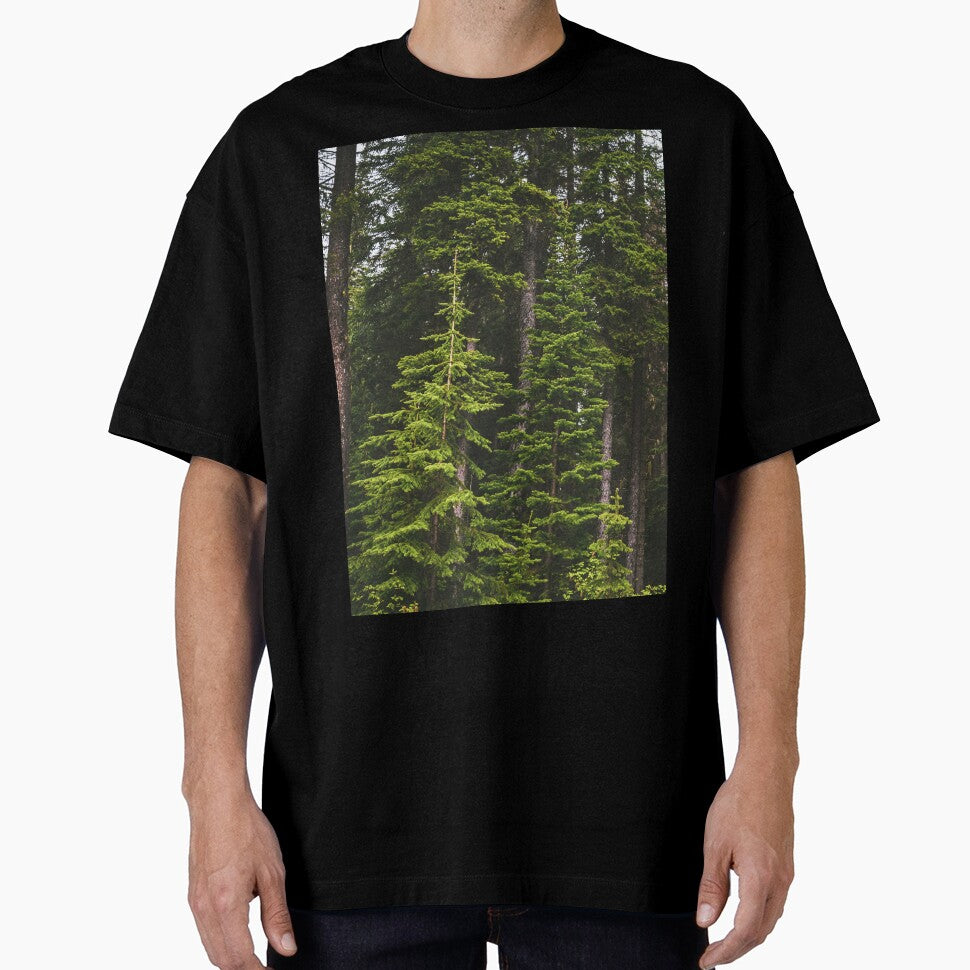 Magical Evergreen Mountain Woods by Amy Mitchell